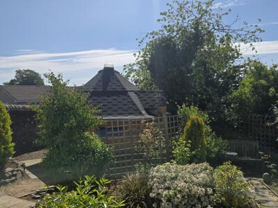 Picture 29